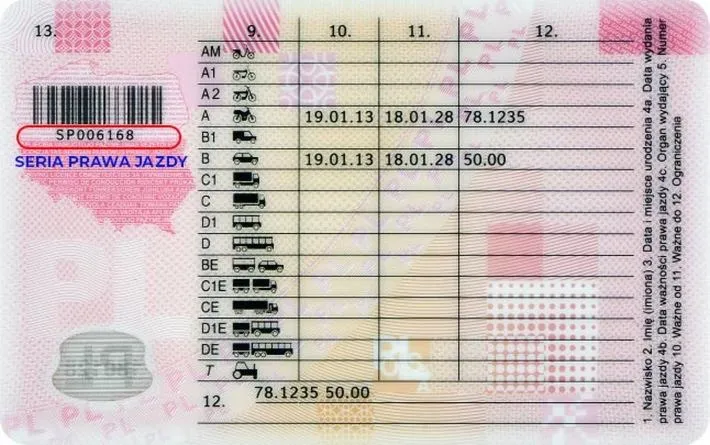 Odebrałem prawo jazdy, co warto zrobić dalej?